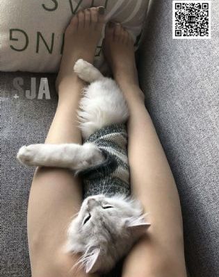 飘雪影院在线观看西瓜高清免费版_蓝光版中文字幕包